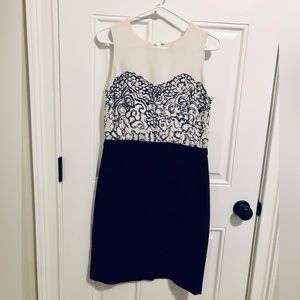 LOFT Dress with Ivory Lace Top and Pencil Skirt
